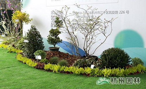 电竞比赛押注app