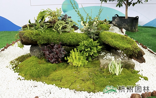 电竞比赛押注app