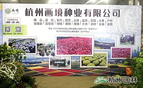 电竞比赛押注app