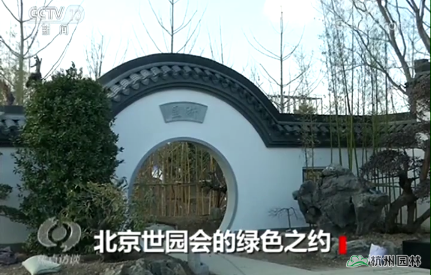 电竞比赛押注app