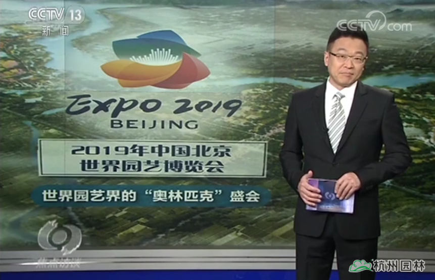 电竞比赛押注app