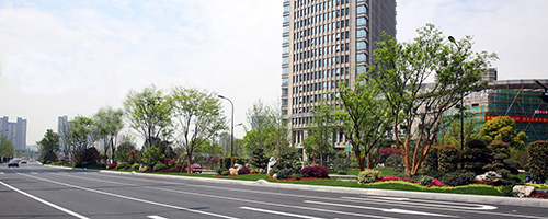 电竞比赛押注app