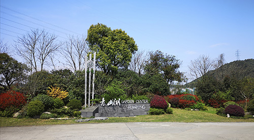 电竞比赛押注app