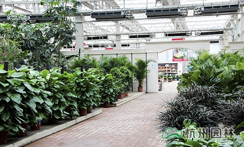 电竞比赛押注app