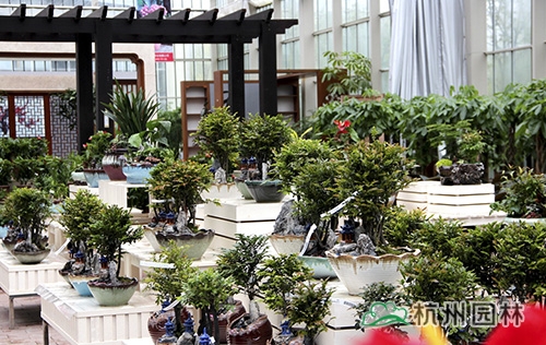 电竞比赛押注app