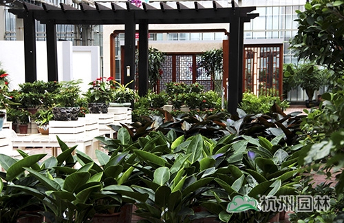 电竞比赛押注app