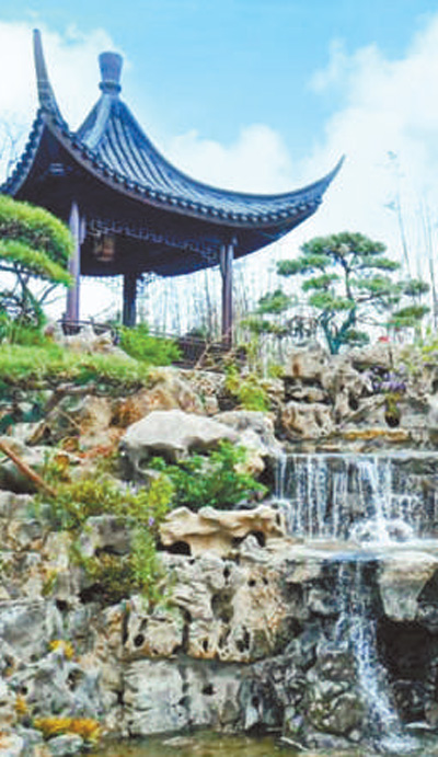 电竞比赛押注app