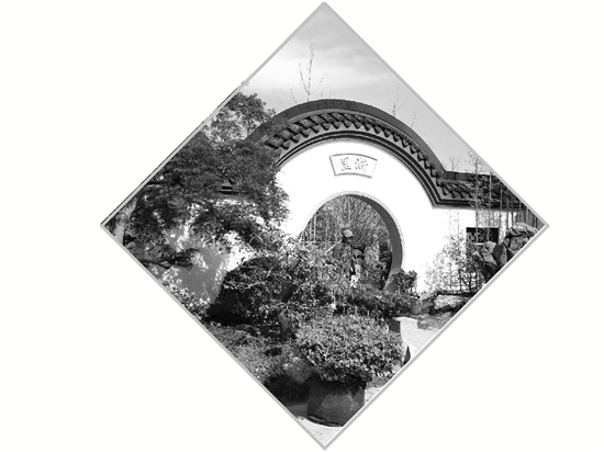 电竞比赛押注app