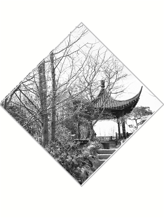 电竞比赛押注app