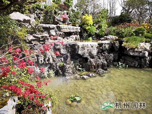 电竞比赛押注app