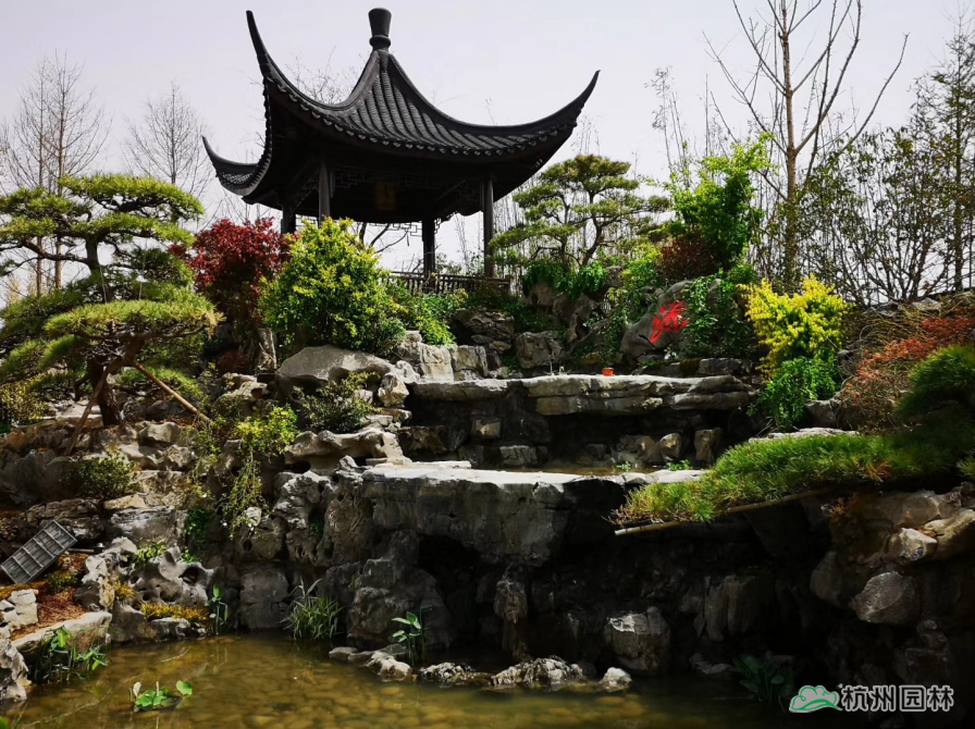 电竞比赛押注app