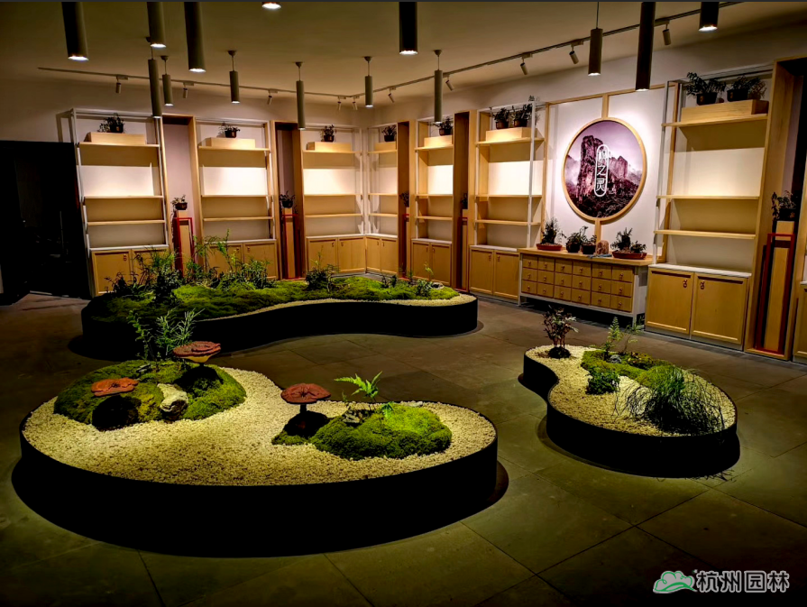 电竞比赛押注app