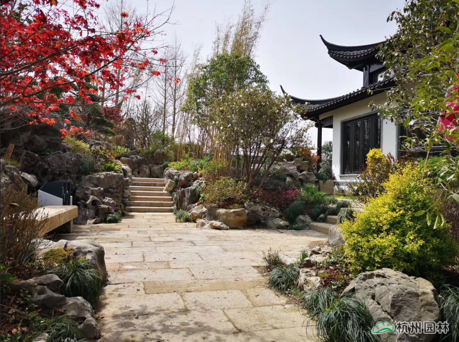 电竞比赛押注app