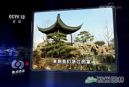 电竞比赛押注app