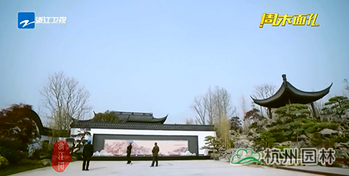 电竞比赛押注app