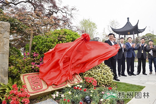 电竞比赛押注app