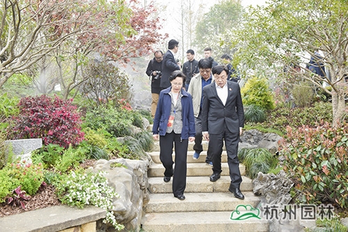 电竞比赛押注app