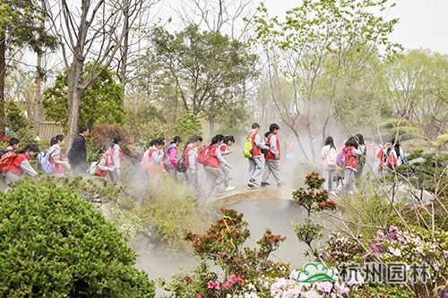 电竞比赛押注app