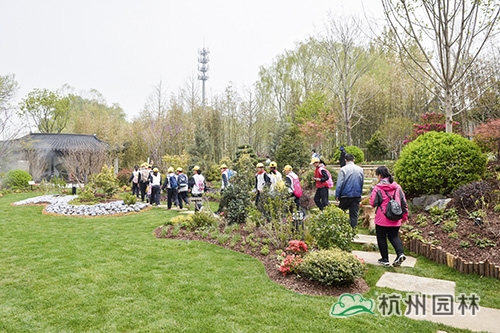 电竞比赛押注app