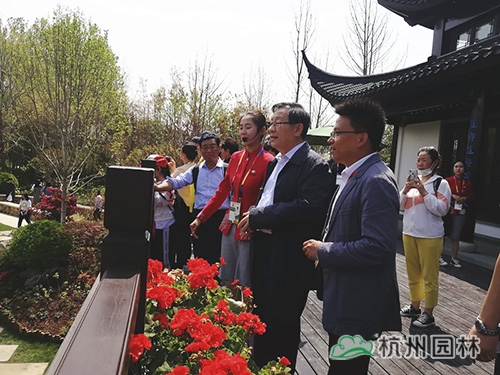 电竞比赛押注app