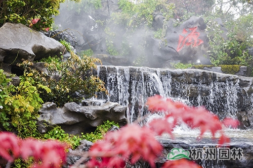 电竞比赛押注app