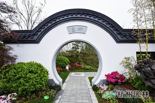 电竞比赛押注app