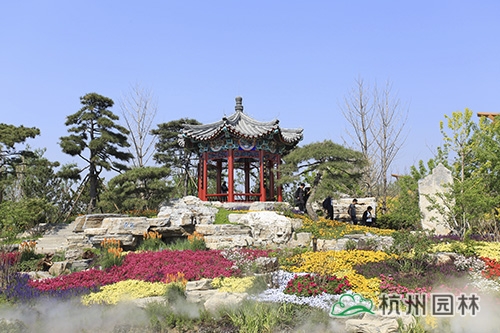 电竞比赛押注app