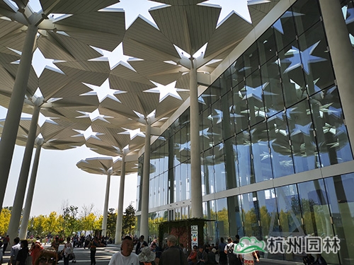 电竞比赛押注app