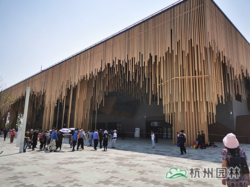 电竞比赛押注app