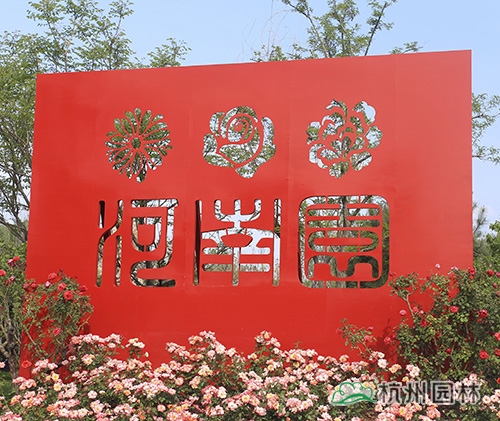 电竞比赛押注app