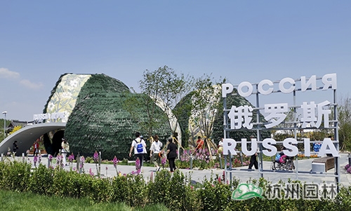 电竞比赛押注app