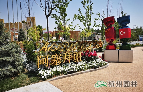 电竞比赛押注app