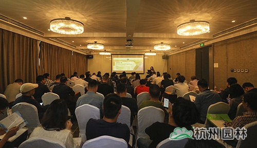 电竞比赛押注app