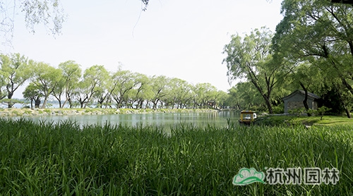 电竞比赛押注app