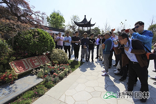 电竞比赛押注app