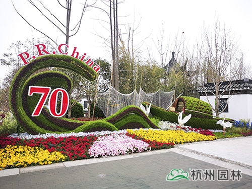 电竞比赛押注app