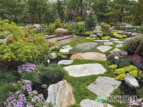 电竞比赛押注app