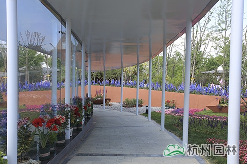 电竞比赛押注app