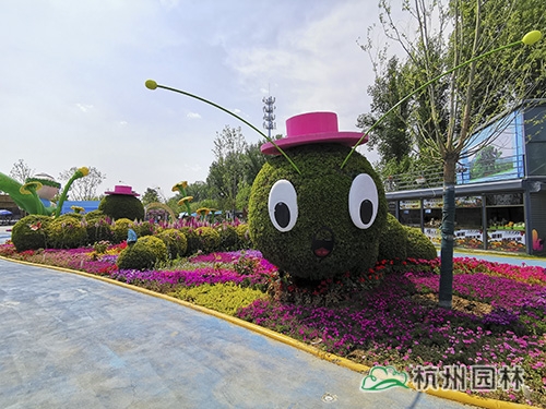 电竞比赛押注app