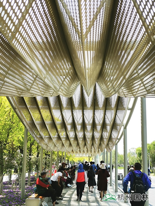 电竞比赛押注app