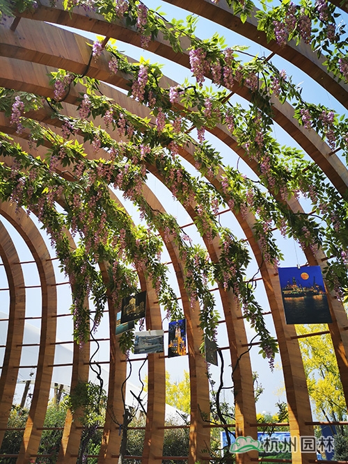 电竞比赛押注app