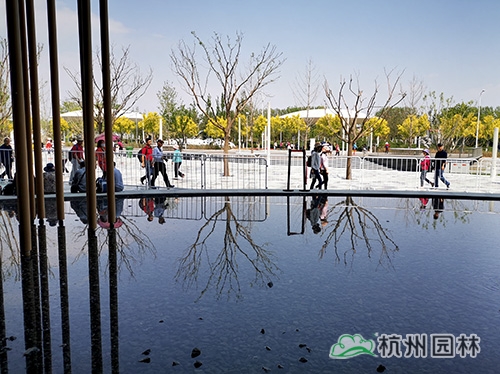 电竞比赛押注app