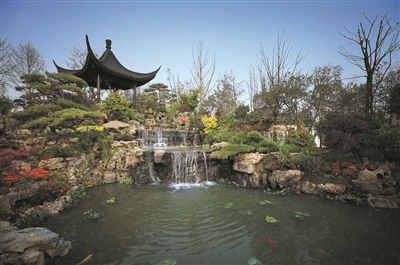 电竞比赛押注app