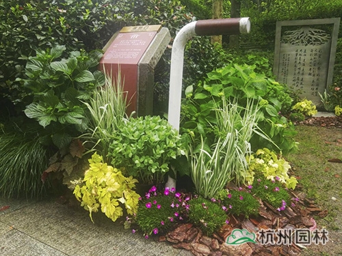 电竞比赛押注app