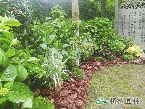 电竞比赛押注app