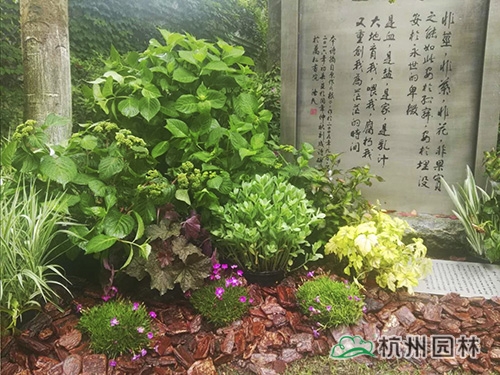 电竞比赛押注app