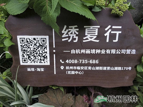 电竞比赛押注app