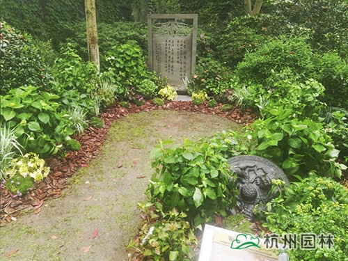 电竞比赛押注app