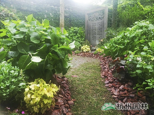 电竞比赛押注app