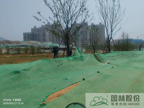 电竞比赛押注app